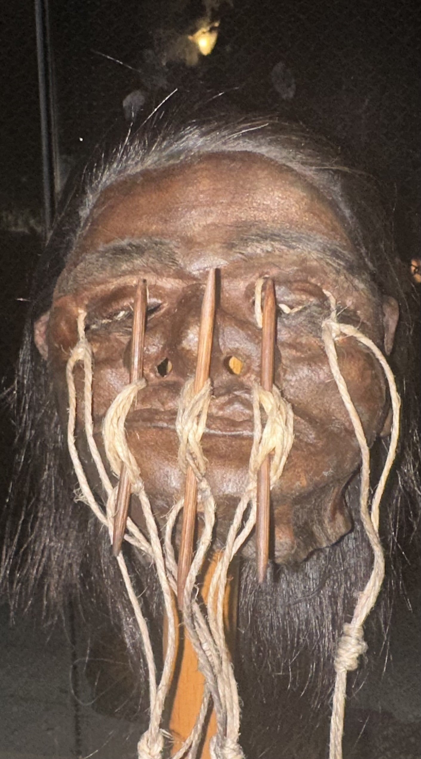 Dark Haired Shrunken Head with Chonta Spines through Mouth