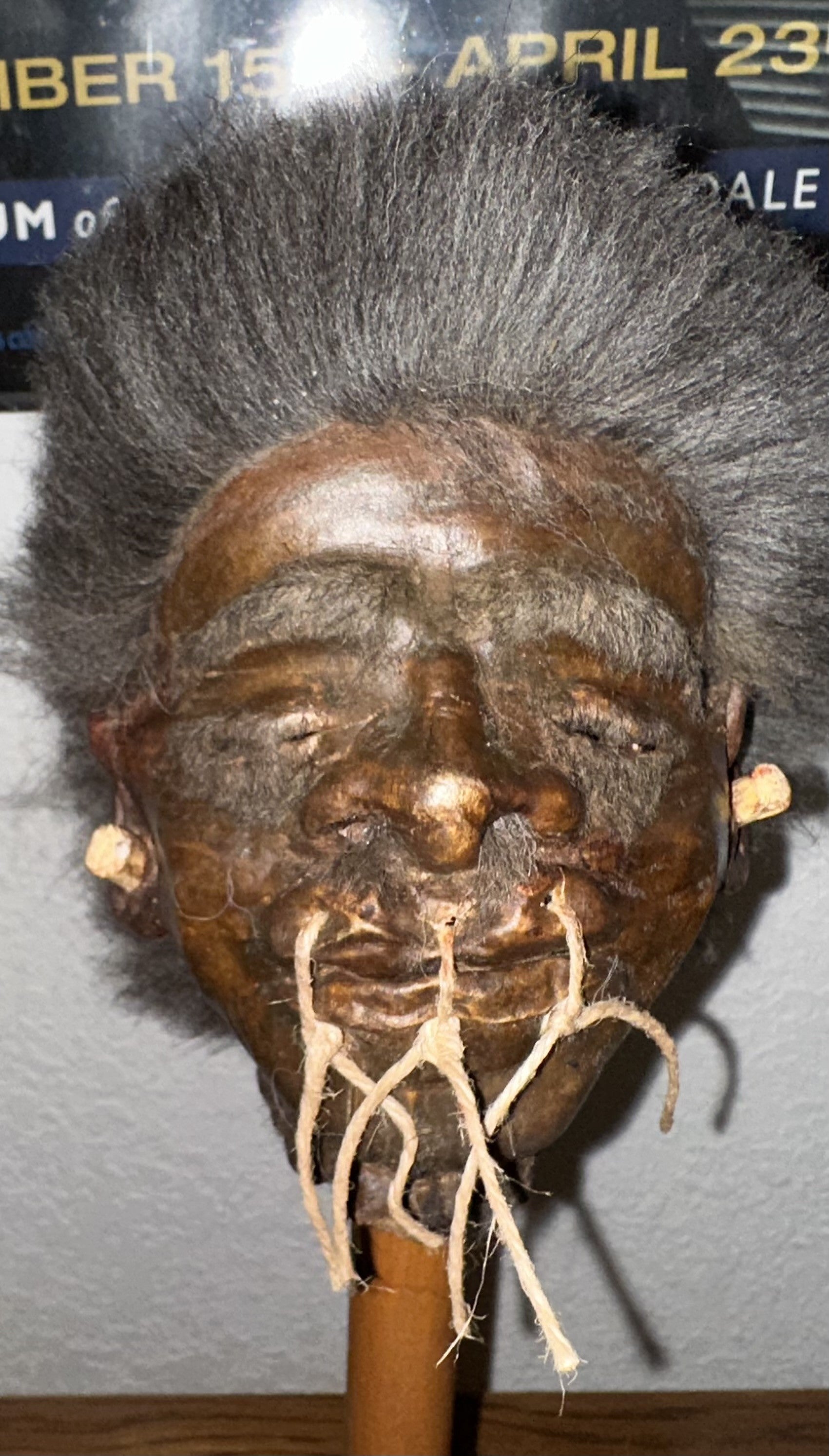 Short Haired Shrunken Head with Palo Santo Pegs