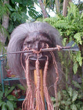 Shrunken Head with Chonta Arrow through Nose