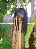 Traditional Style Shrunken Head